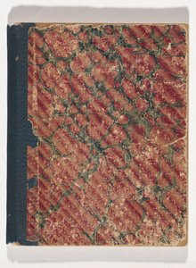 Kwatkwat-Volk - Skizzenbuch der Zeremonien und Alltagsbeobachtungen der Aborigines und europäischen Siedler. Skizzenbuch hauptsächlich über Aktivitäten der Aborigines und Weißen von Tommy McRae