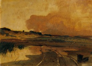 Abend im Moor
