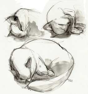 Schlafende Katze Studien