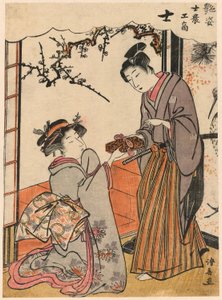 Der Samurai (Shi) aus der Serie Schönheiten, die die vier sozialen Klassen illustrieren (Adesugata shi no ko sho)