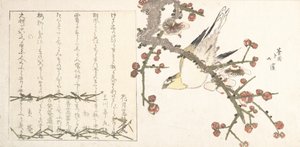 Buschsänger auf einem Pflaumenzweig von Totoya Hokkei