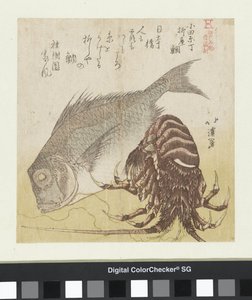 Der Seebarsch von Yanagiya in Odawarachō von Totoya Hokkei