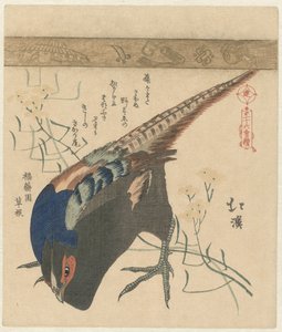 Fasan von Totoya Hokkei