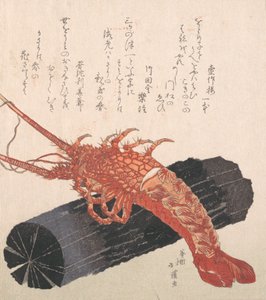 Hummer auf einem Stück Kohle von Totoya Hokkei