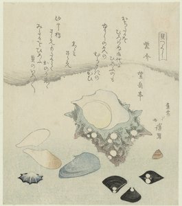 Lila Muschel, Süßwassermuscheln und eine Turbanmuschel von Totoya Hokkei