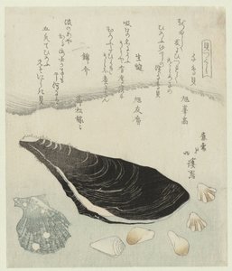 Regenpfeifermuscheln, rohe Muschel und Brokatmuschel (Eine Serie von Schalen) von Totoya Hokkei