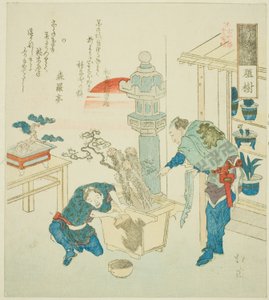 Topfpflanze (Ueki), aus der Serie "Achtzehn Illustrationen der Leiter der alten Worte (Kogentei juhachiban tsuzuki)" von Totoya Hokkei
