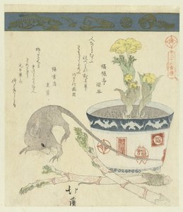 Ratte und Schale mit Adonis von Totoya Hokkei