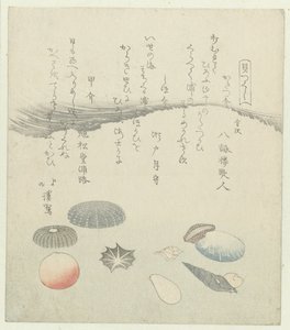 Runde rote und blaue Muschel mit kleineren Muscheln von Totoya Hokkei