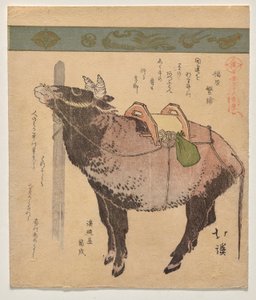 Angebundener Ochse von Totoya Hokkei