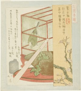 Grasmücke im Käfig, aus der Serie "Eine Serie für die Hanazono-Gruppe (Hanazono bantsuzuki)"