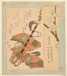 Yang Guifei Pflaume, aus der Serie für den Hanazono Club von Totoya Hokkei