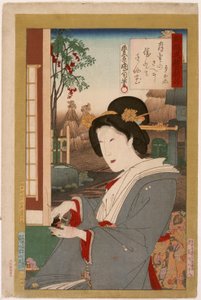 Teezeremonie von Toyohara Kunichika