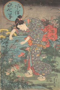 Modische sieben Herbstpflanzen Fuzoku aki nanakusa, erste Hälfte des 19. Jahrhunderts von Toyohara Sadatora