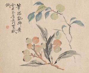 Loquatbaum von Japan