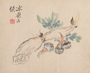 Lotuswurzel und Natternzunge