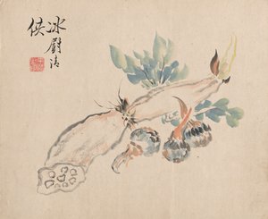 Lotuswurzel und Natternzunge