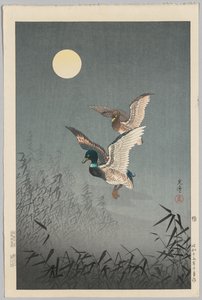 Ansichten von Tokio: Enten von Tsuchiya Kōitsu