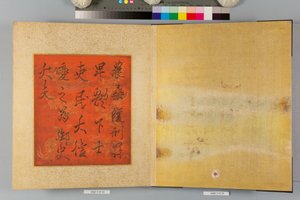 Album von Falken und Kalligraphie