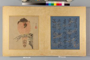 Album von Falken und Kalligraphie