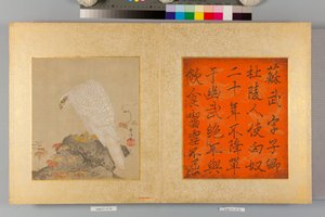 Album von Falken und Kalligraphie