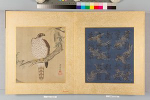 Album von Falken und Kalligraphie