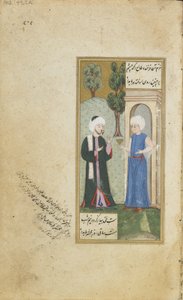 Folio aus einem Gulistan (Rosengarten) von Sadi; Jugend bietet ein Getränk an von Turkish School