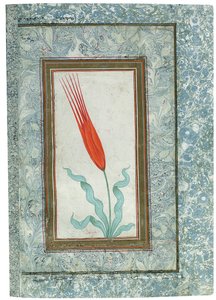 Seite aus dem Türkischen Tulpenalbum, Istanbul, 1725 von Turkish School