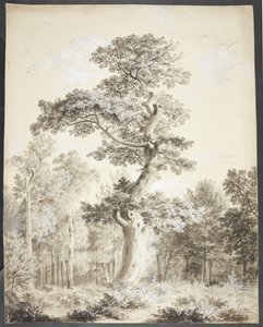 Landschaft mit großem Baum und Jäger von Ubekendt