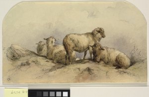Schafe in einer Landschaft von Ubekendt KKSgb7508 KKSgb7512