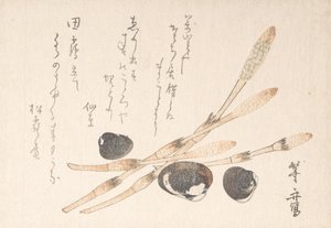Tsukushi-Pflanze und Shijimi-Muscheln von Uematsu Toshu