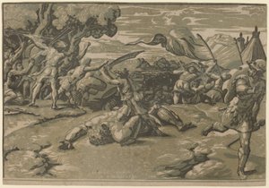 David tötet Goliath von Ugo da Carpi after Raphael