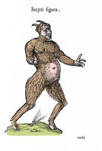 Darstellung eines Satyrs. Tafel eines Naturgeschichtsmanuskripts von Ulisse Aldrovandi (1522-1605) über Monster
