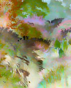 Bunte Waldlandschaft von Uma Gokhale