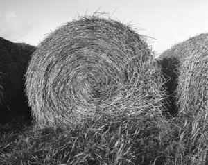 Landwirtschaft in der Essonne, Oktober 1983, Heumühle Stroh von Unbekannt