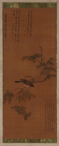 Ein Vogel auf einem belaubten Zweig, Ming-Dynastie, 16.-17. Jahrhundert von Unbekannt