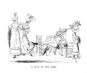 Eine Ente im Park, ca. 1870