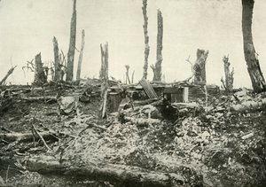 Ein Unterstand in einem einst idyllischen Wald, 1919 von Unbekannt