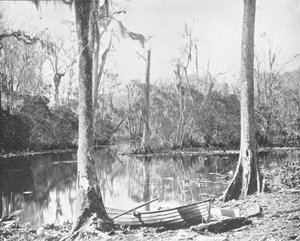 Ein Zufluss des St. Johns River, Florida, USA, ca. 1900