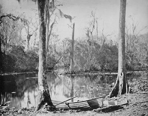 Ein Zufluss des St. Johns River, Florida, um 1897