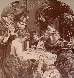 Ein Vermögen in einer Teetasse, 1901 von Unbekannt