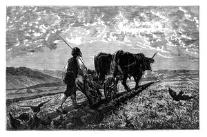 Ein französischer Landwirt, ca. 1890 von Unbekannt