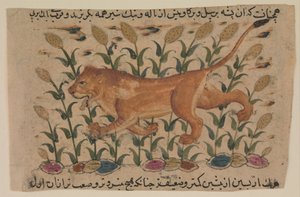 Ein Löwe, Folio aus einem verstreuten Nuzhatnama-i 