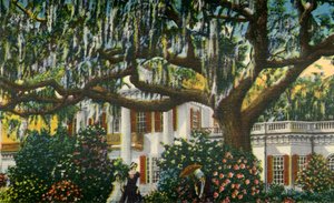 Eine Villa in den Carolinas, 1942 von Unbekannt