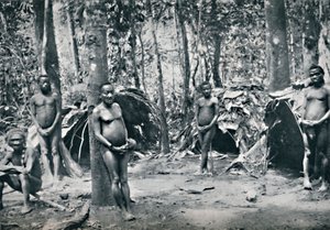 Ein Pygmäendorf, Nordost-Kongo-Becken, 1912 von Unbekannt
