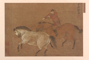 Ein Reiter, der ein Pferd mit dem Lasso fängt