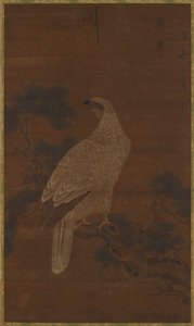 Ein Weißer Adler auf einem Kiefernzweig, Ming- oder Qing-Dynastie, 17. Jahrhundert