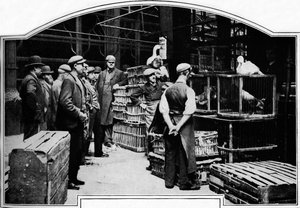 Eine Ecke des Leadenhall-Marktes, London, um 1901