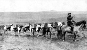 Eine Postkarawane überquert die isländischen Ebenen, Island, 1922 von Unbekannt