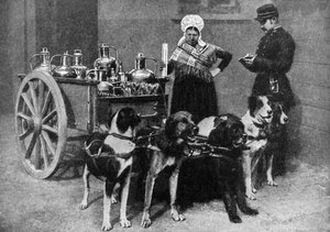 Eine Milchfrau mit einem Regierungsinspektor, Belgien, 1922 von Unbekannt